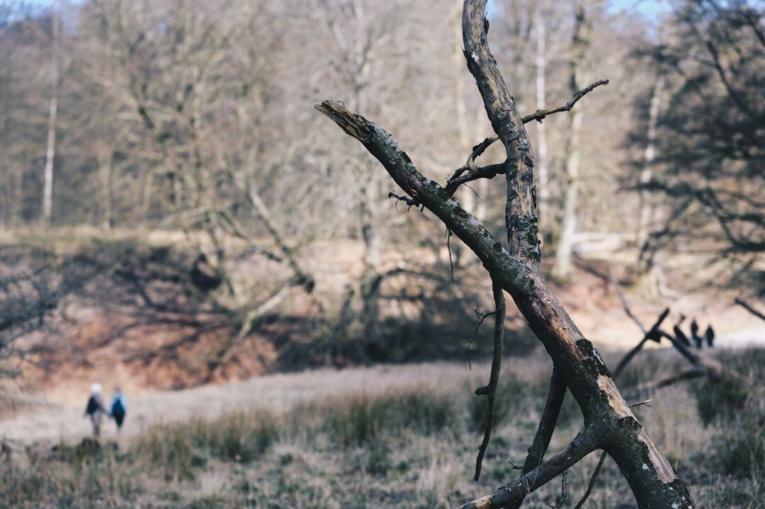 Couple sharing a quiet moment in a Danish forest